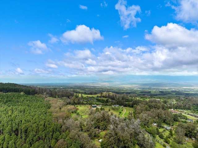 2450 Piiholo Rd, Makawao, HI 96768 - aerial view of a forest