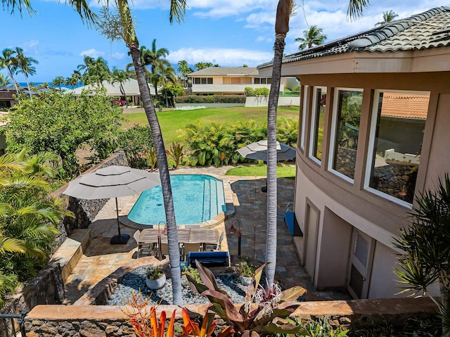 view of pool featuring a patio and a lawn