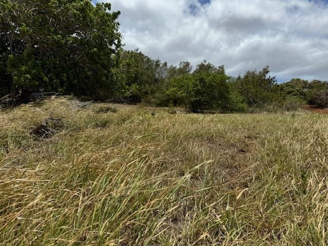 Listing photo 3 for Kaana St Lot 499, Maunaloa HI 96770