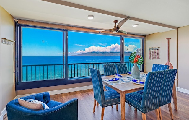 interior space with hardwood / wood-style floors, a water view, plenty of natural light, and ceiling fan