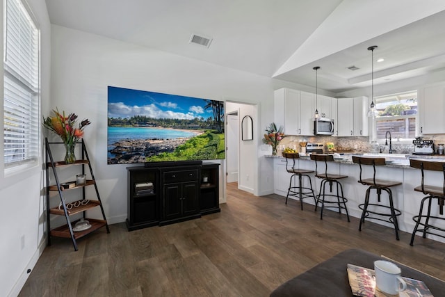 living room featuring dark hardwood / wood-style floors, sink, and a tray ceiling