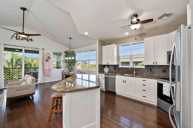 206 Kuli Puu St, Kihei, HI 96753 - kitchen featuring appliances with stainless steel finishes, a sink, ceiling fan, tasteful backsplash, and dark wood-type flooring