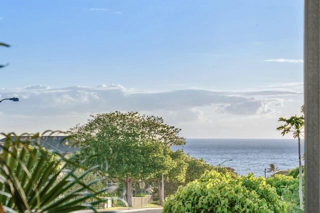 206 Kuli Puu St, Kihei, HI 96753 - water view