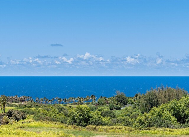 view of home's community with a water view