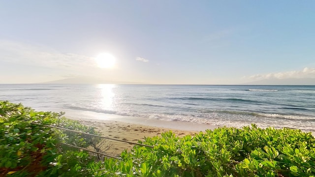 water view with a view of the beach