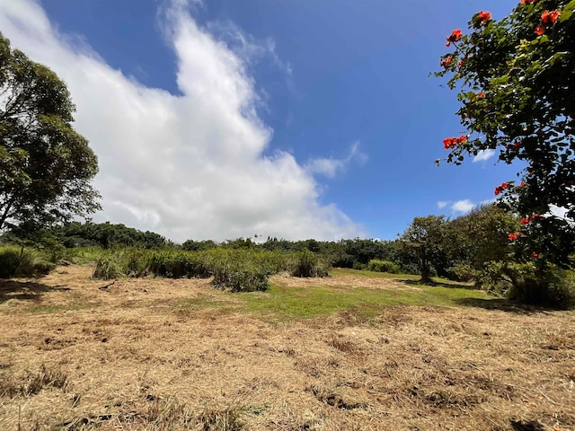 view of nature with a rural view