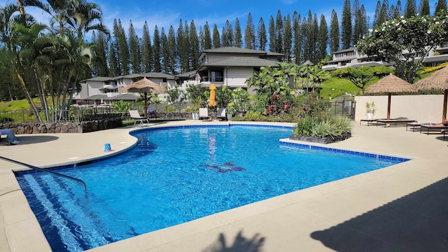 view of pool featuring a patio