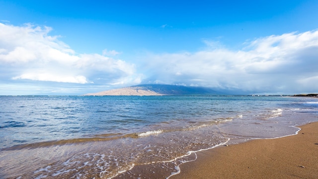 water view featuring a mountain view