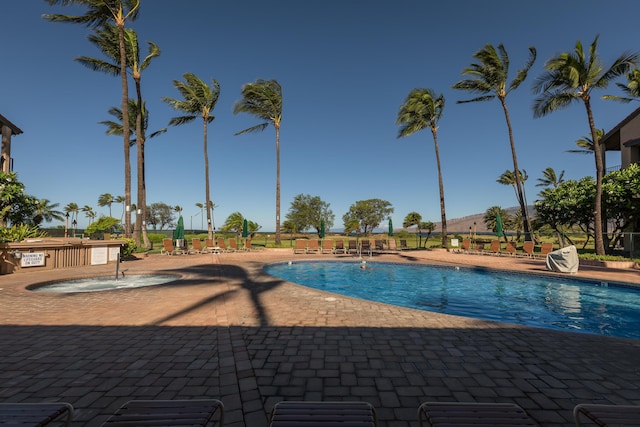 view of swimming pool with a patio