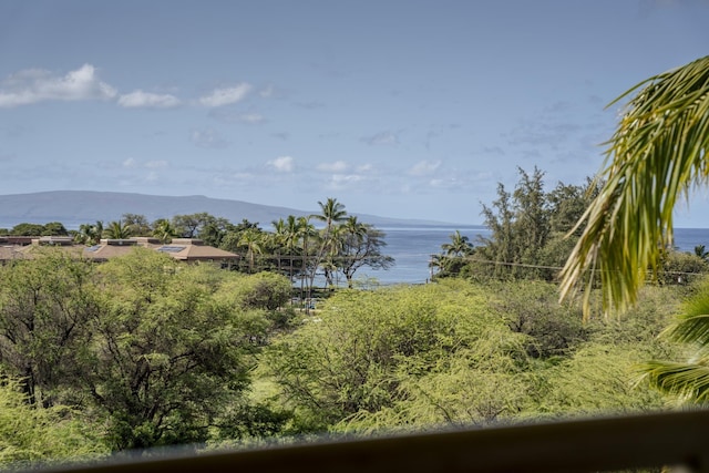 water view featuring a mountain view