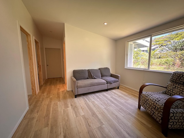 living room with light hardwood / wood-style flooring