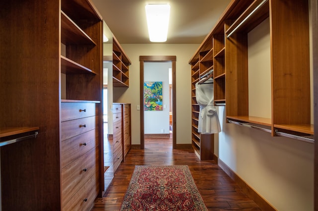 walk in closet featuring dark hardwood / wood-style flooring