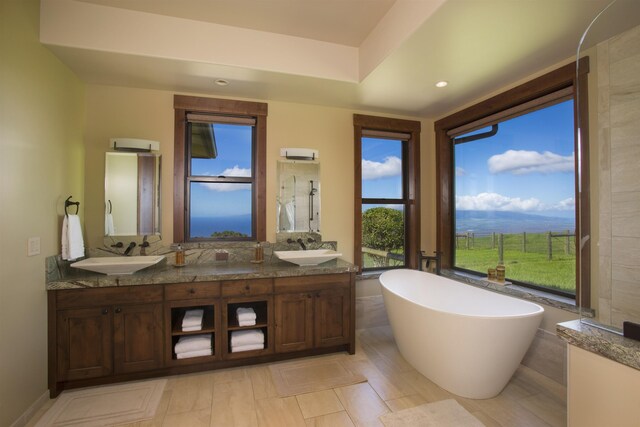 bathroom featuring vanity and a bathtub