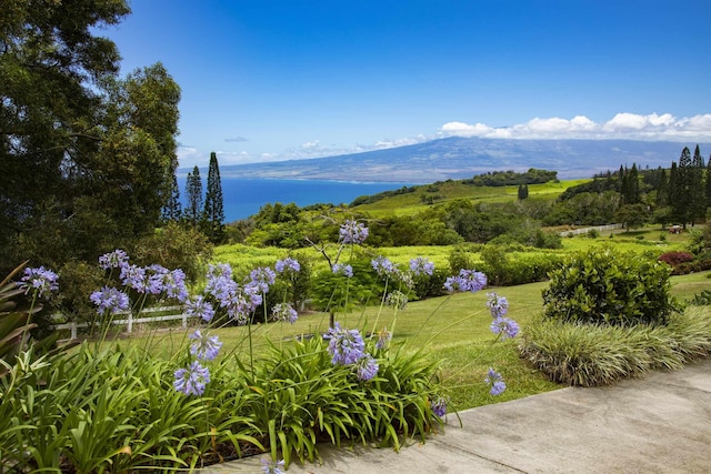 view of property's community with a mountain view and a lawn