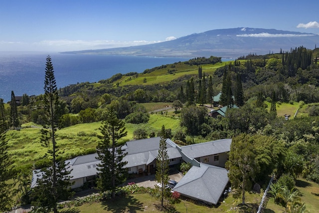 birds eye view of property featuring a water and mountain view