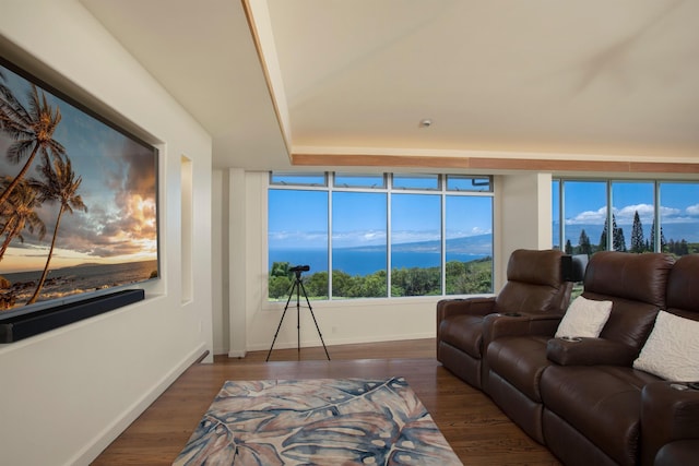 living room featuring a mountain view and dark hardwood / wood-style floors