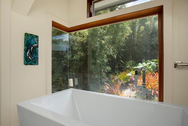 bathroom with a bathing tub