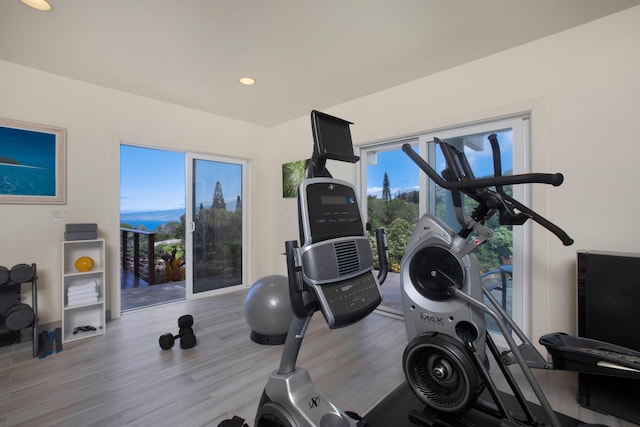 workout area with hardwood / wood-style flooring