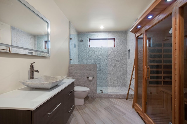 bathroom featuring toilet, an enclosed shower, and vanity