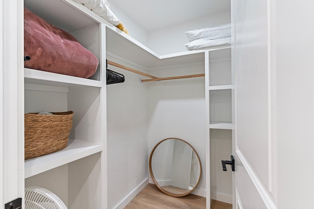 spacious closet featuring light hardwood / wood-style flooring