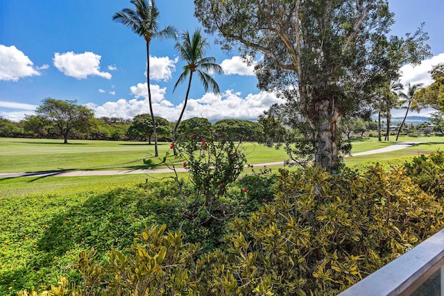 view of community with a lawn