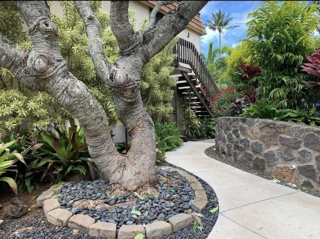 view of yard with stairs