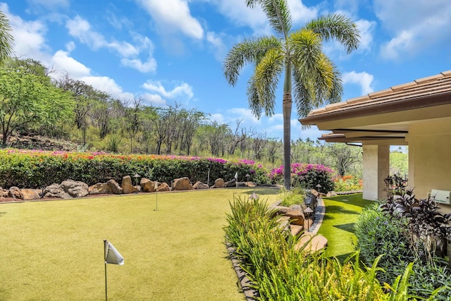 34 Ualei Pl, Kihei, HI 96753 - view of yard