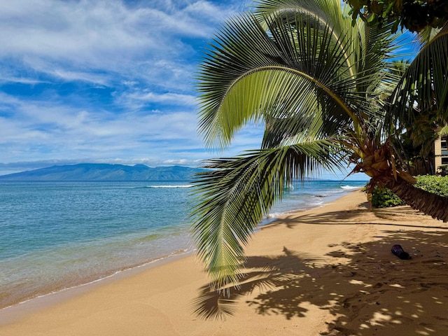 property view of water featuring a beach view