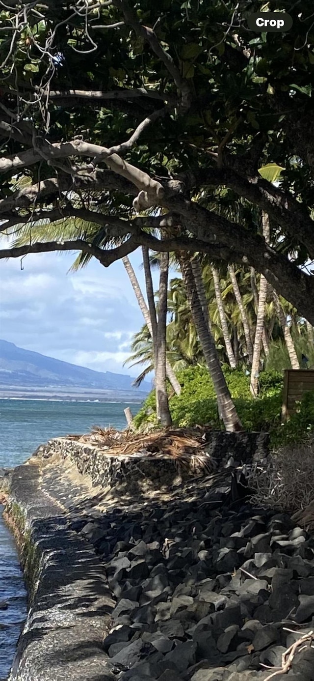 property view of water featuring a mountain view