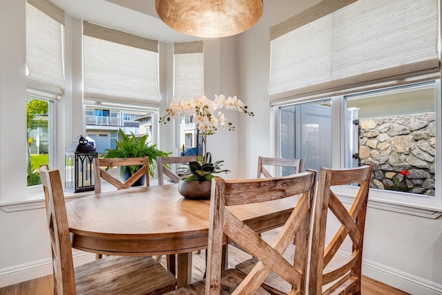 dining area with light hardwood / wood-style flooring