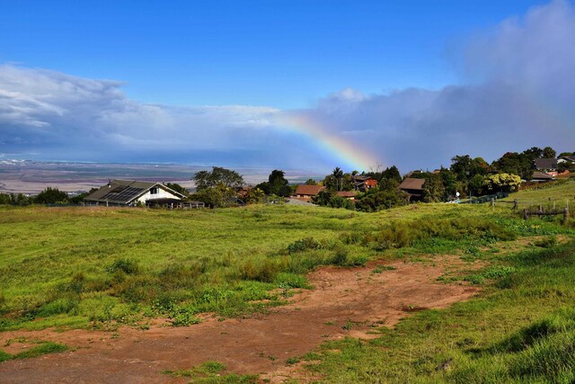 view of local wilderness with a rural view