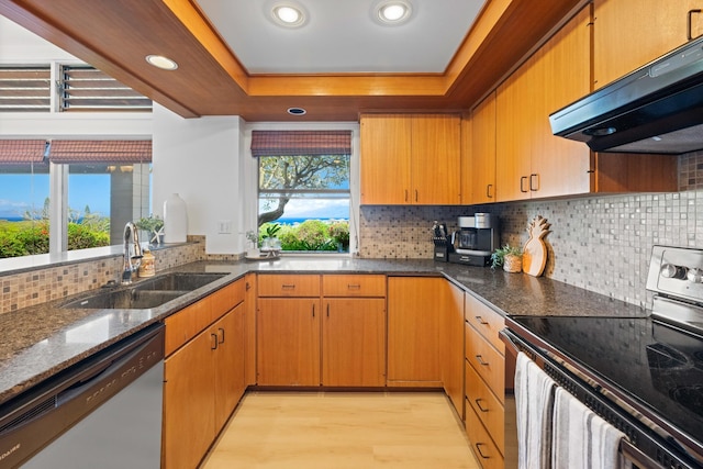 kitchen featuring light wood-style flooring, a sink, a raised ceiling, stainless steel appliances, and under cabinet range hood