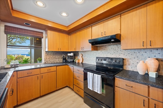kitchen featuring light wood finished floors, under cabinet range hood, black range with electric stovetop, a tray ceiling, and dishwasher