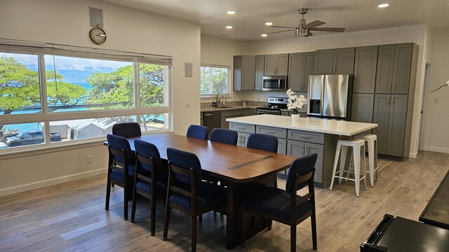 dining area with ceiling fan, a wealth of natural light, light hardwood / wood-style floors, and sink