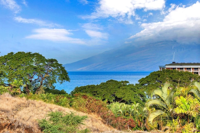 water view with a mountain view