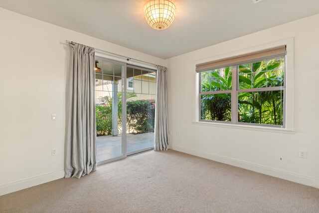 unfurnished room featuring carpet floors