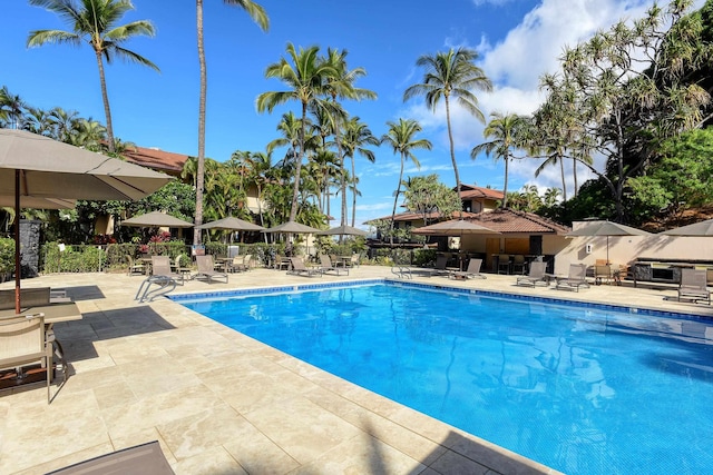 view of swimming pool featuring a patio area