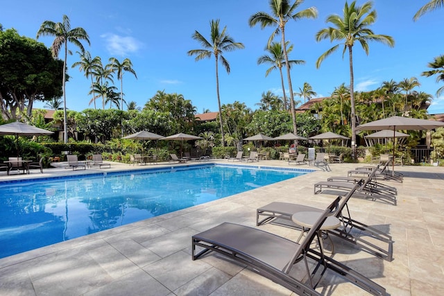 view of pool with a patio area