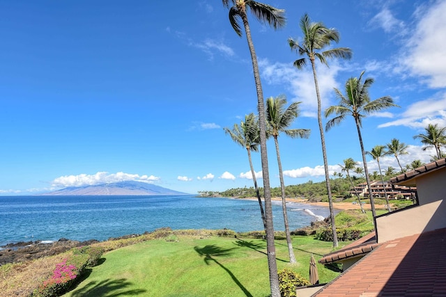 water view featuring a mountain view