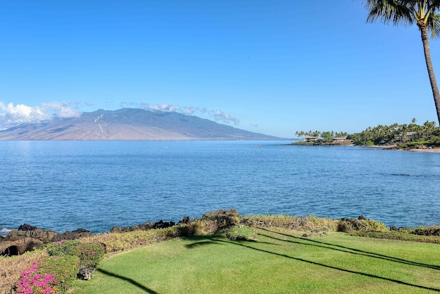 water view featuring a mountain view