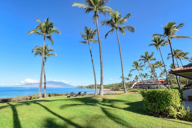 view of yard with a water and mountain view