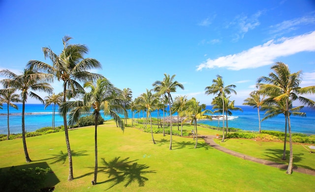 view of home's community featuring a yard and a water view