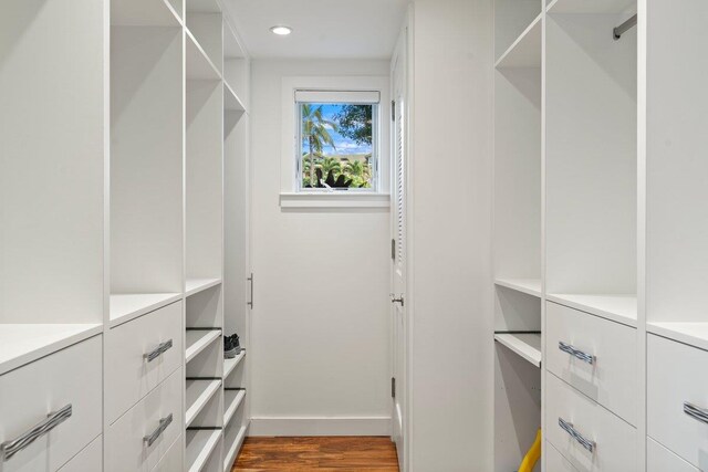 spacious closet featuring hardwood / wood-style flooring