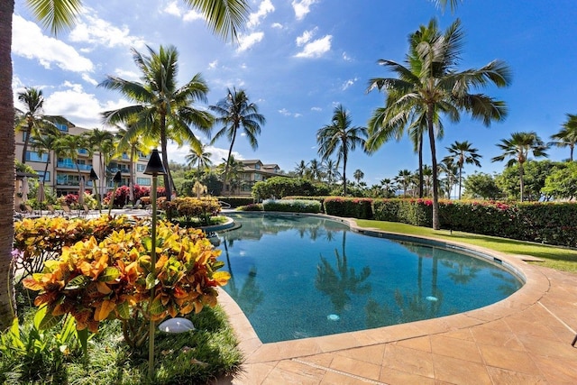 view of swimming pool