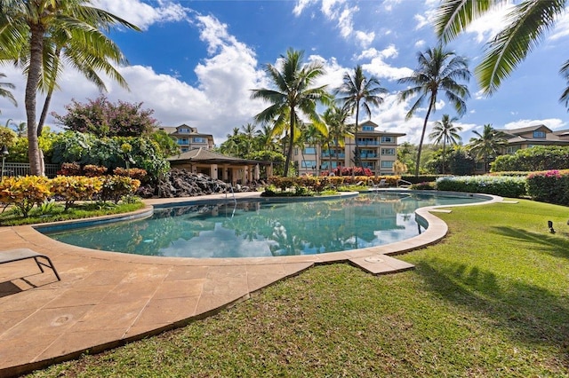 view of swimming pool featuring a lawn