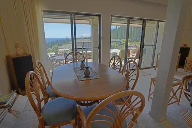 view of dining space