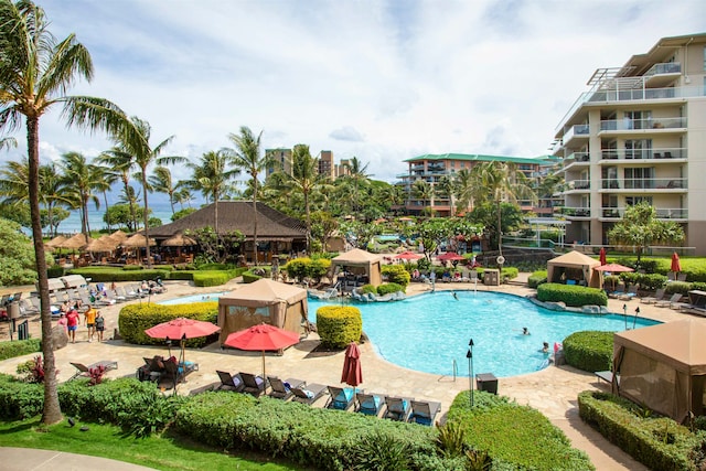 view of swimming pool featuring a patio