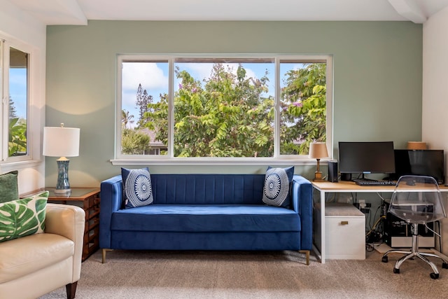 home office featuring carpet flooring