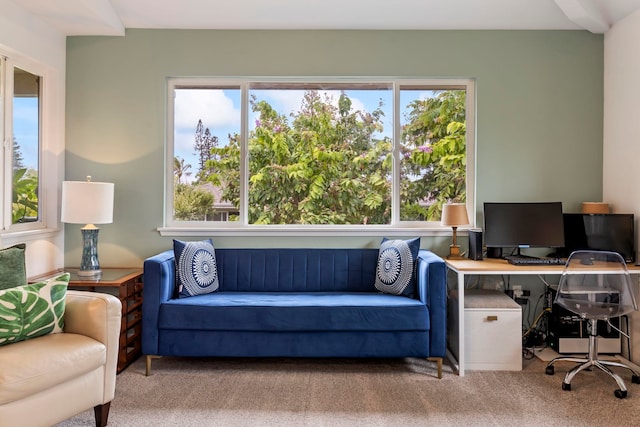 139 Punohu Ln Unit 10-8, Lahaina, HI 96790 - office area with carpet flooring