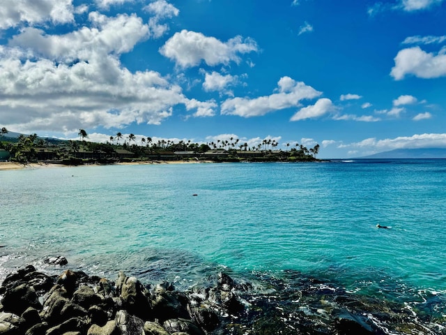 139 Punohu Ln Unit 10-8, Lahaina, HI 96790 - water view